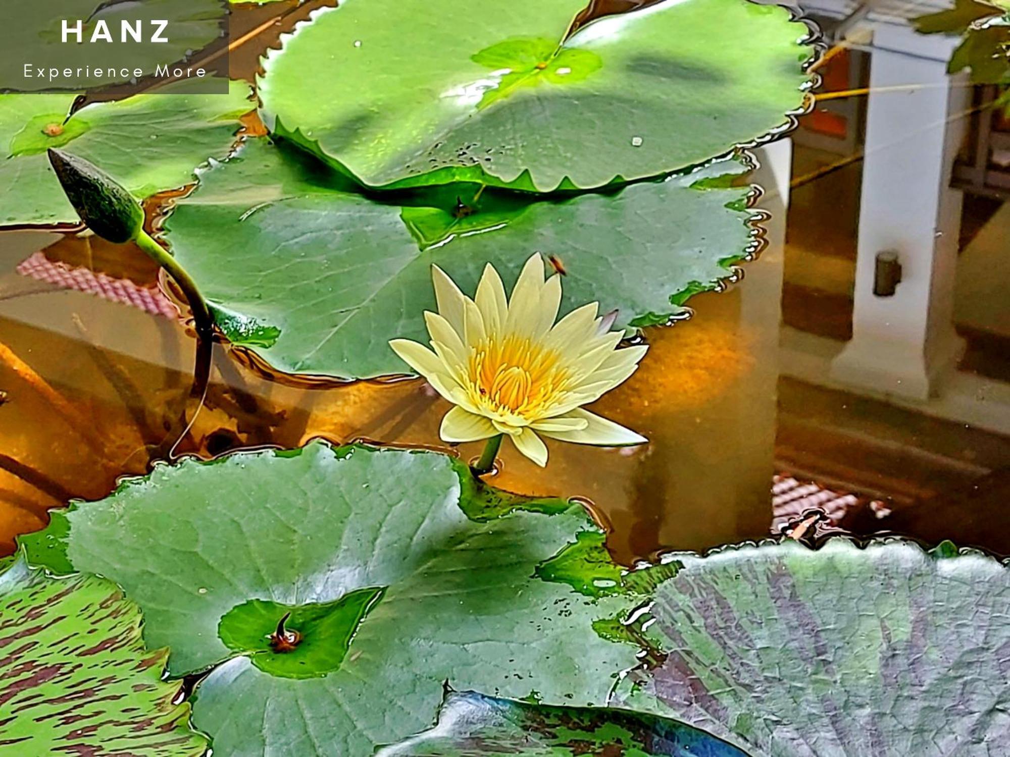 Sunrise Luang Prabang Exterior foto